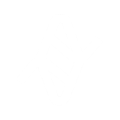 Logo attempt LLVV.png