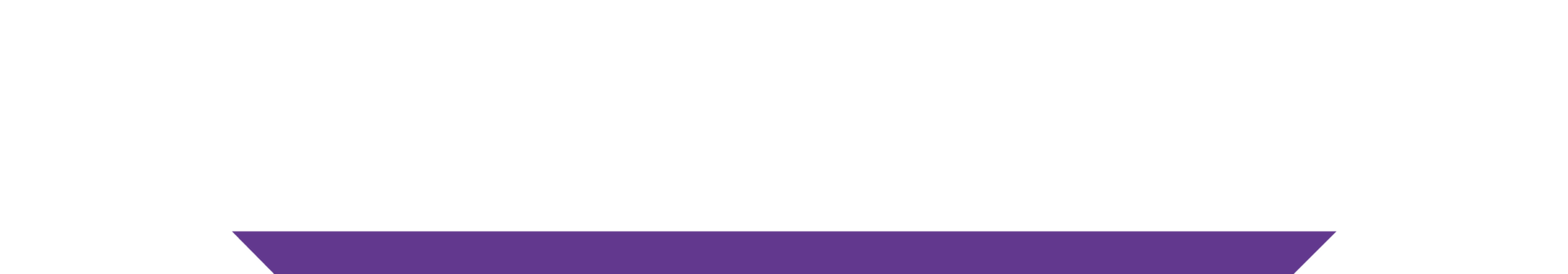 File:Logo Tactical Vector v8.png - Starbase wiki